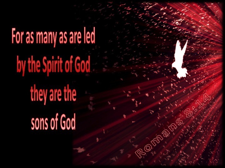 For as many as are led by the Spirit of God they are the sons of God. Romans 8:14