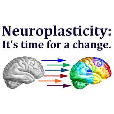 neuroplasticity - it's time for a change