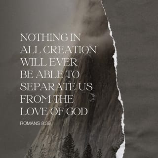 Nothing in all creation will ever be able to separate us from the love of God - Romans 8:39