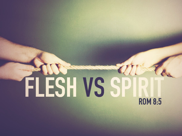 tug of war - flesh vs spirit - romans 8:5