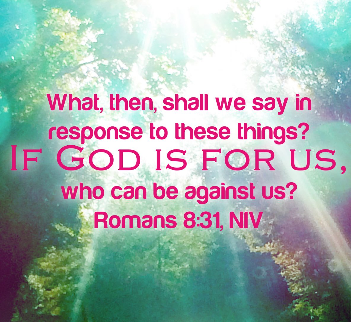 What then shall we say to these things? If God is for us, who is against us? - Romans 8:31